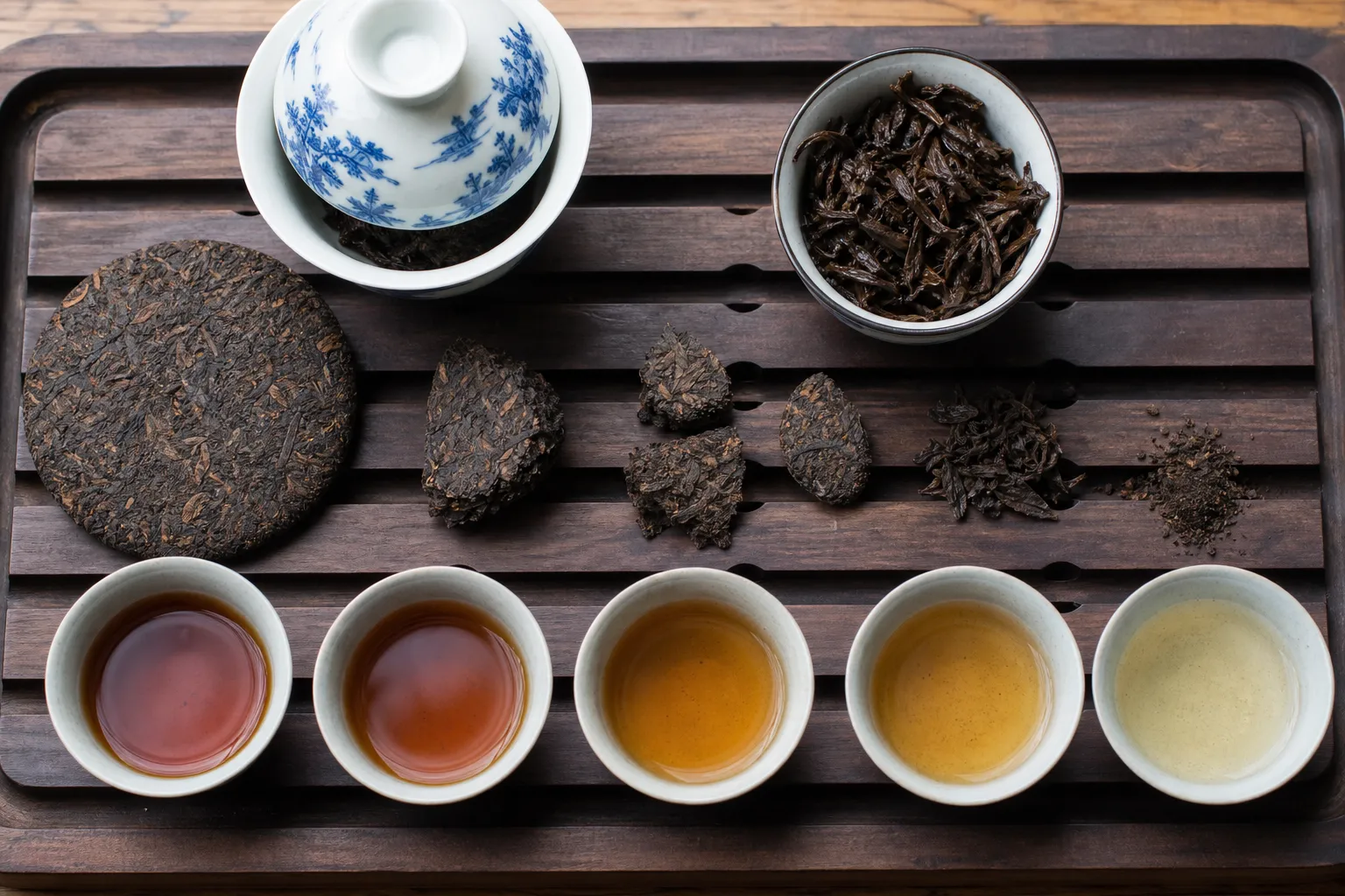 Broken and dense compressed dark tea pieces beside brewed cups showing different release patterns